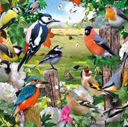 Garden Birds 3D Effect Card