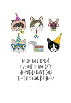 Don't Care Cats Birthday Card