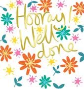 Hooray Well Done Card