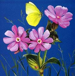 Yellow Butterfly Greeting Card
