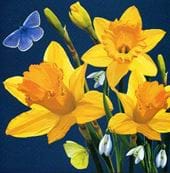 Daffodils Greeting Card