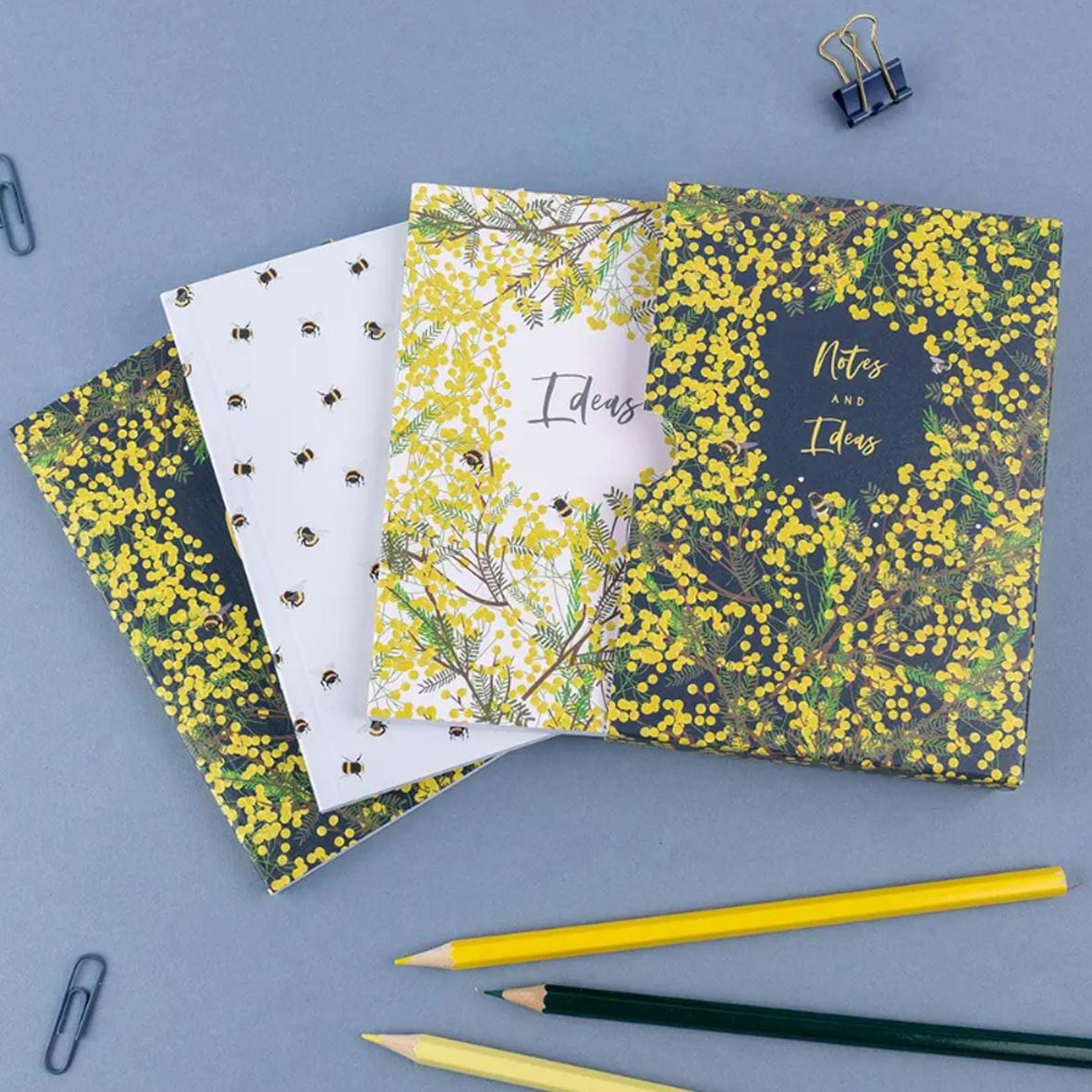 Mimosa Notes & Ideas 3 Boxed Notebooks