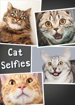 Cat Selfies Birthday Card