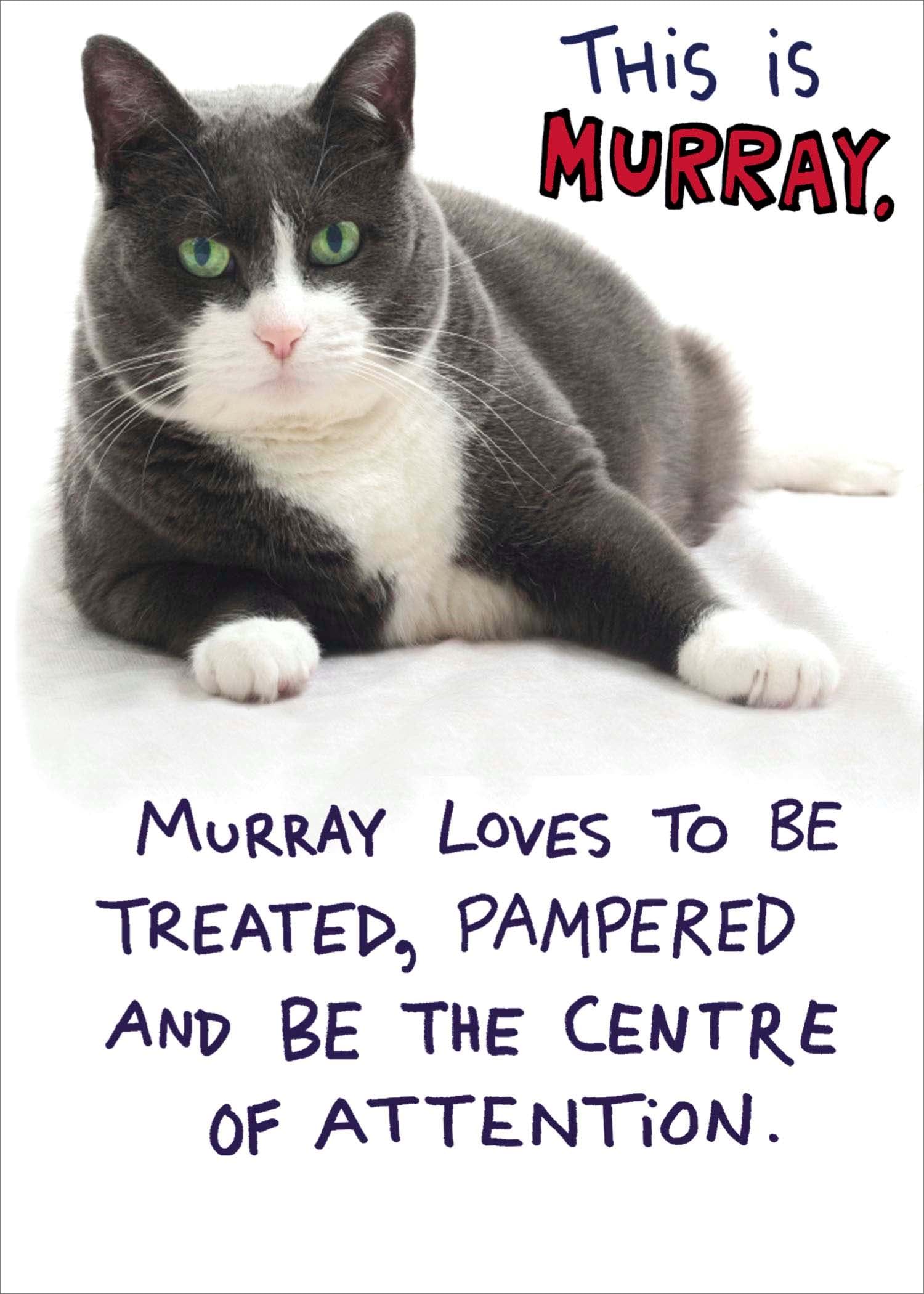 This is Murray Birthday Card