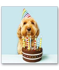 General Birthday 