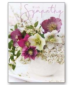 Sympathy 