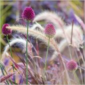 BBC Gardener's World Perfect Duo Greeting Card