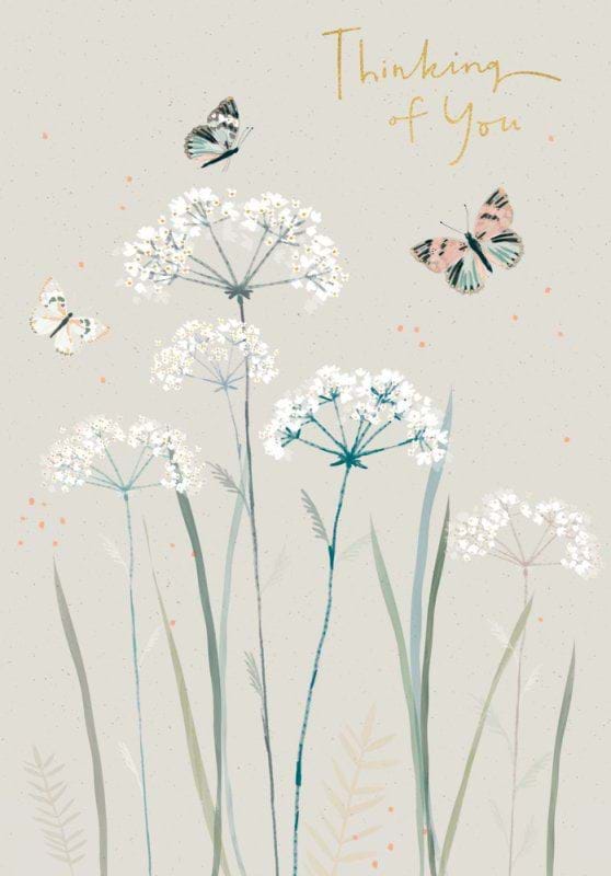 Cow Parsley Thinking of You Card