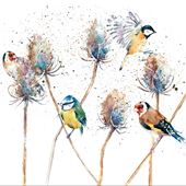 Birds and Teasels Greeting Card