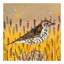 Song Thrush Greeting Card