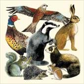 Countryside Animals Greeting Card