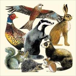Countryside Animals Greeting Card
