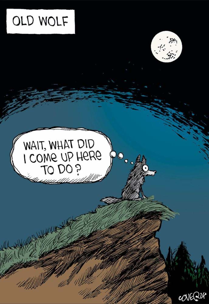 Old Wolf Birthday Card