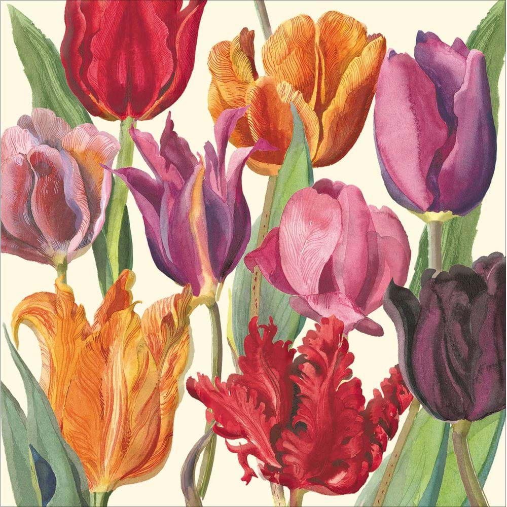 Tulips Greeting Card