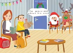 A Visit to the Vets - Personalised Christmas Card