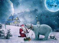 Santa & the Polar Bear - Personalised Christmas Card
