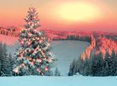 Frosty Forest - Personalised Christmas Card