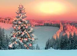 Frosty Forest - Personalised Christmas Card