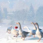 Geese - Personalised Christmas Card