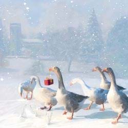 Geese - Personalised Christmas Card
