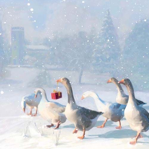 Geese - Personalised Christmas Card