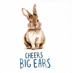 Cheers Big Ears Birthday Card