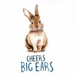 Cheers Big Ears Birthday Card