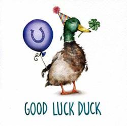 Good Luck Duck Card