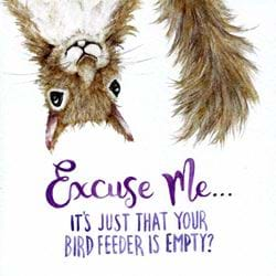 Excuse Me Squirrel Birthday Card