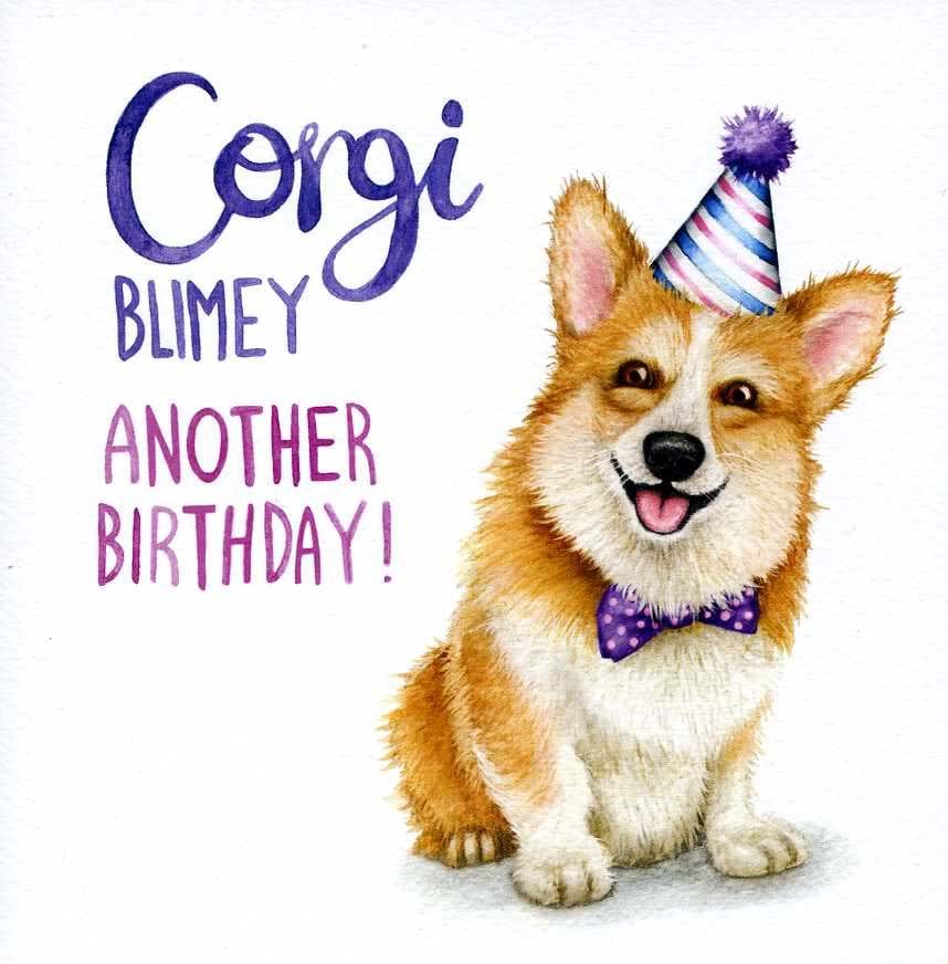 Corgi Blimey Birthday Card