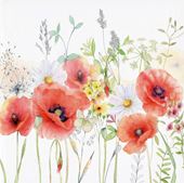 Meadow Poppies Greeting Card