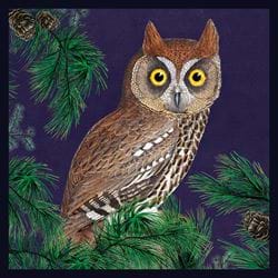 Red Owl Greeting Card