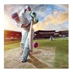 Cricket Greeting Card