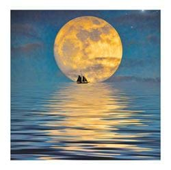 Moonlight Greeting Card