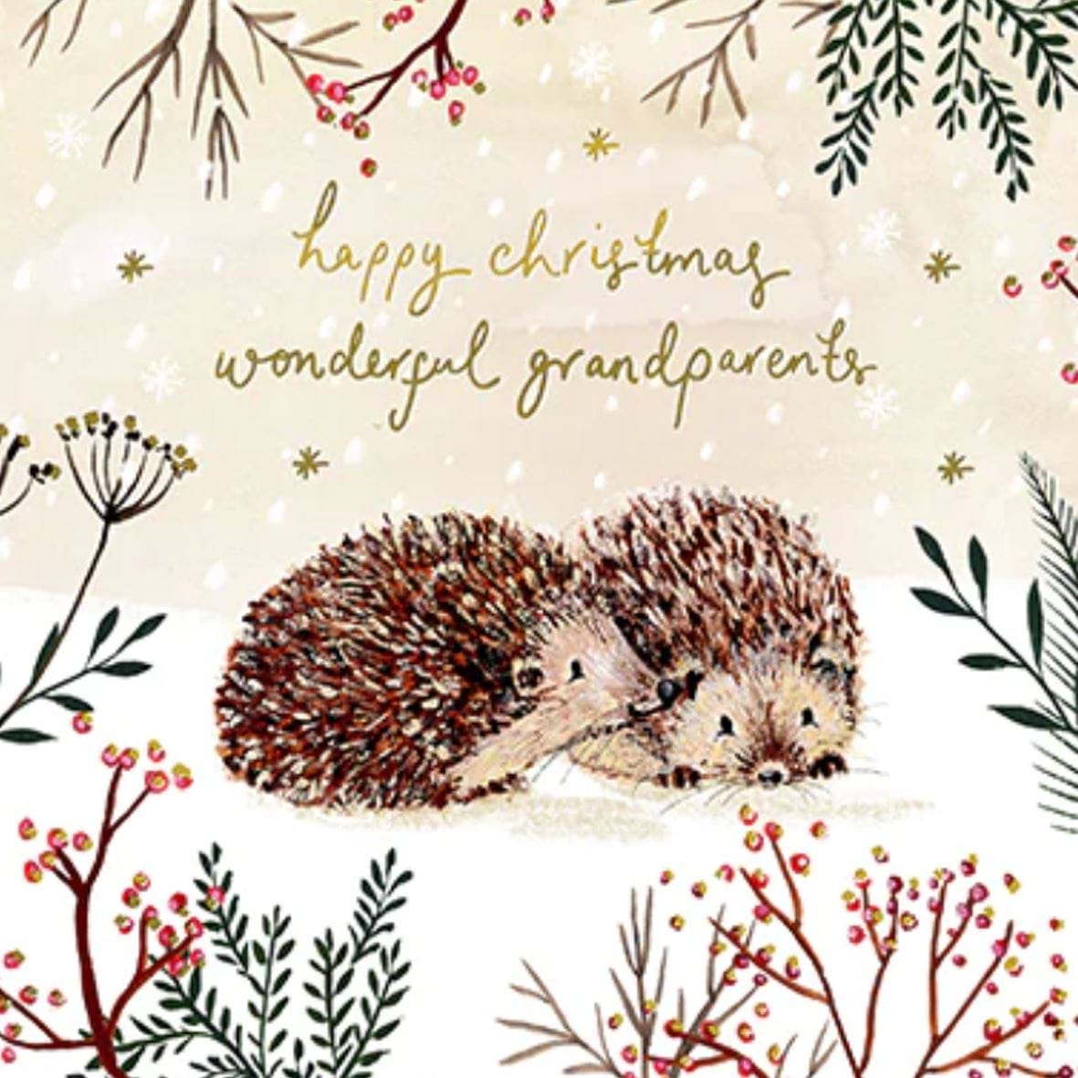 Hedgehogs Grandparents Christmas Card