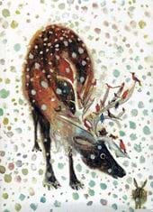 The Reindeer Christmas Cards - Pack of 10