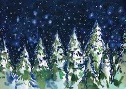 Winter's Night Christmas Cards - Pack of 10