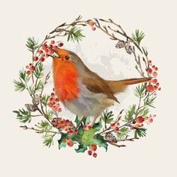 Singing Robin - Personalised Christmas Card