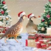 Festive Partridges - Personalised Christmas Card