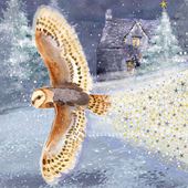 Magical Owl - Personalised Christmas Card
