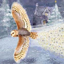 Magical Owl - Personalised Christmas Card