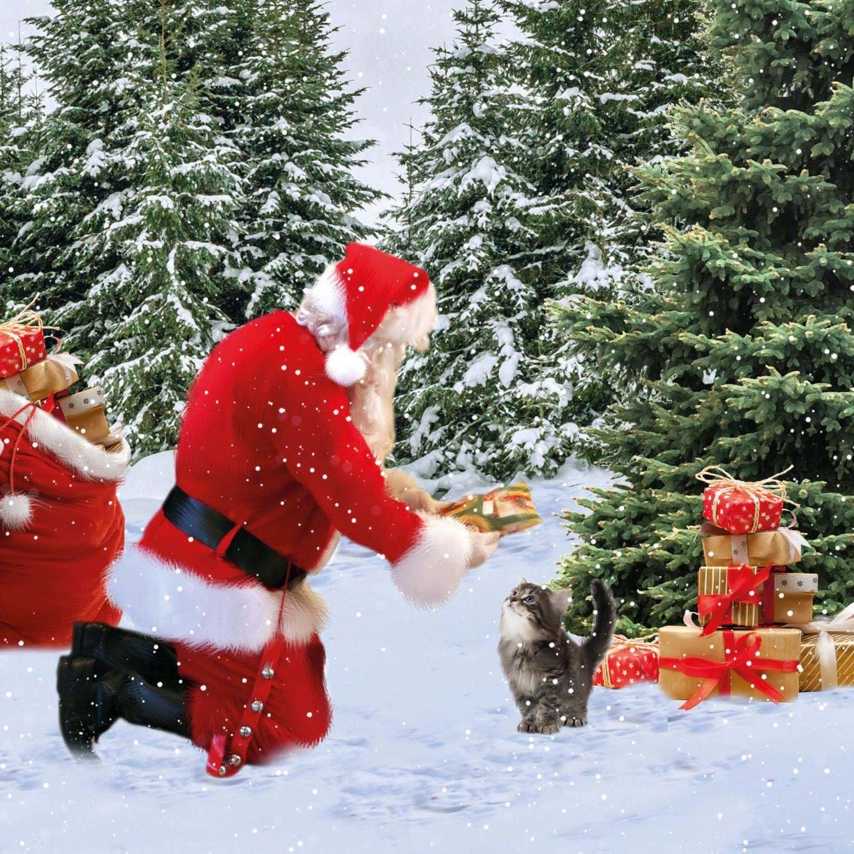 Santa's Presents - Personalised Christmas Card