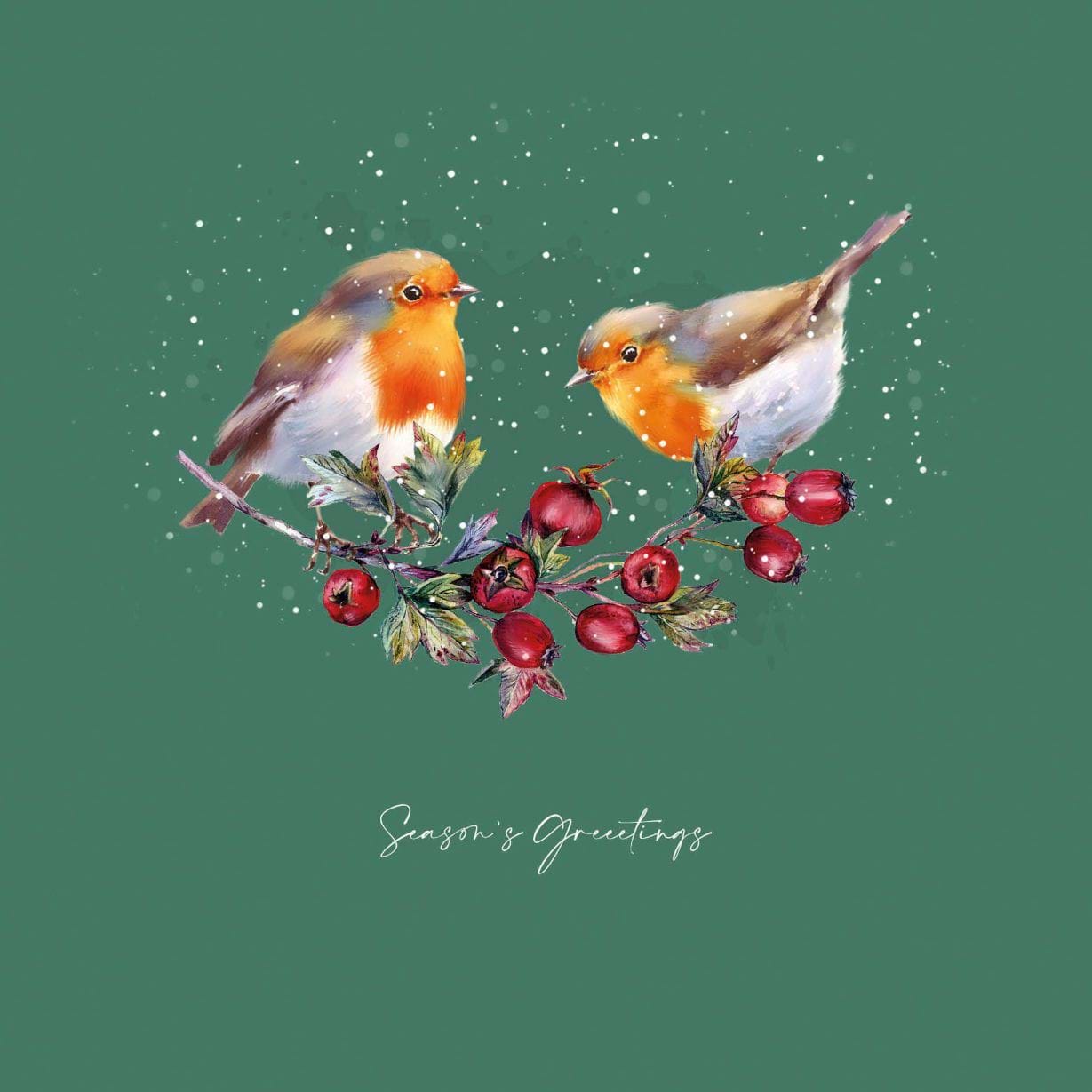 Robins on Hawthorns Branch - Personalised Christmas Card