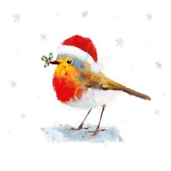 Robin and Holly - Personalised Christmas Card