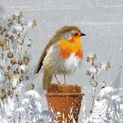 Robin on a Plant Pot - Personalised Christmas Card