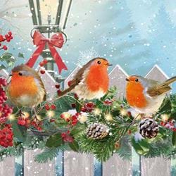Robins on a Fence - Personalised Christmas Card