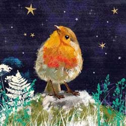 Starry Night Robin - Personalised Christmas Card