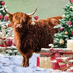 Festive Highland Cow - Personalised Christmas Card