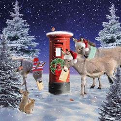 Donkey Post - Personalised Christmas Card