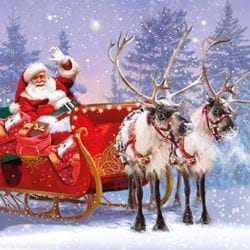 Santa's Greetings - Personalised Christmas Card